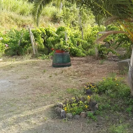 Sweet * Quattro Pani